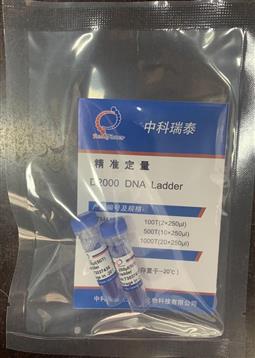 D2000 DNA ladder（100-2000bp）试用装